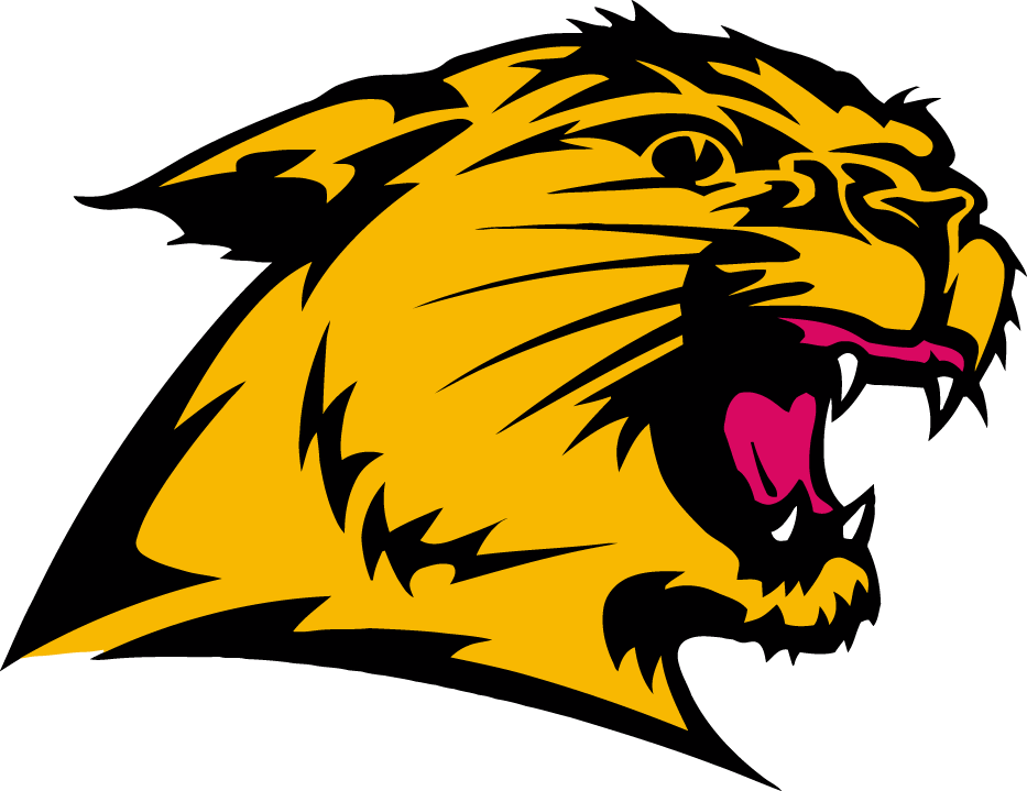 Northern Michigan Wildcats 0-Pres Partial Logo t shirts DIY iron ons